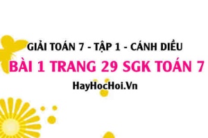 Giải bài 1 trang 29 Toán 7 Tập 1 SGK Cánh Diều